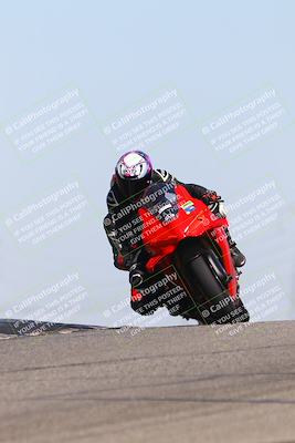 media/Oct-06-2025-2WTD (Mon) [[90522c3a0b]]/B Group/1120am (Grapevine)/